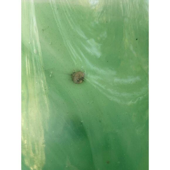 Vintage MCM Art Glass Green Swirl Pedestal Handkerchief Vase 7 - Picture 5 of 10